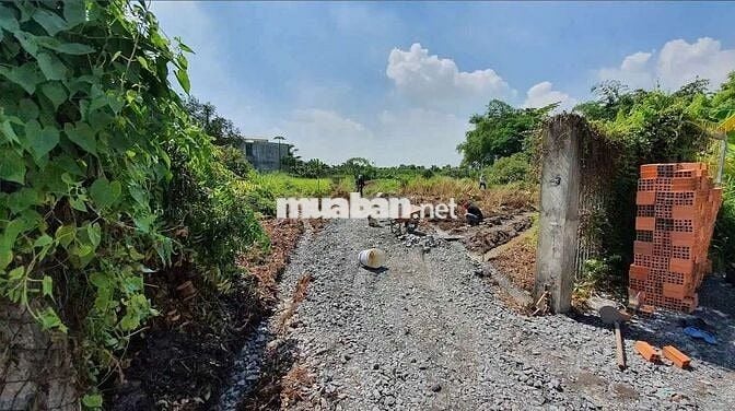 1200m2 nhà vườn Bình Mỹ giá 3.3 tỷ