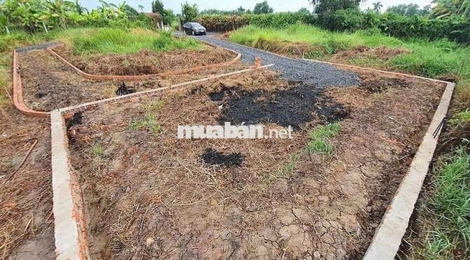 1200m2 nhà vườn Bình Mỹ giá 3.3 tỷ