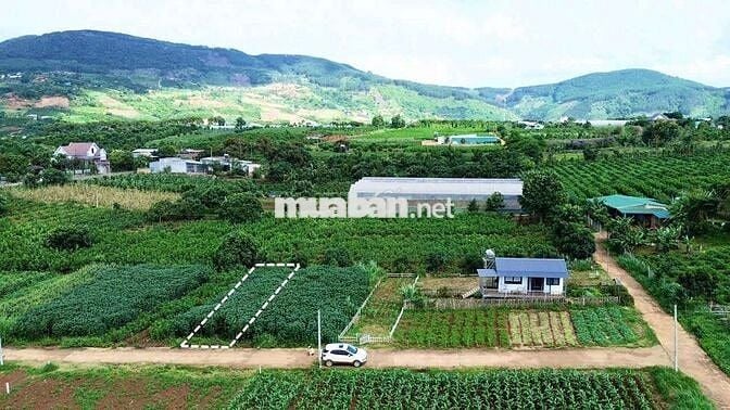 Cách Tà Nung Đà Lạt chỉ 12km,xung quanh view đồi thông,homestay..