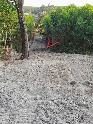 Chính chủ bán đất giá rẻ : 1.341M  - làm nhà vườn hoặc đầu tư