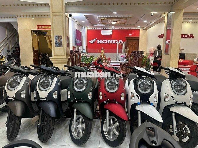 Scoopy nhập indo neww 100%