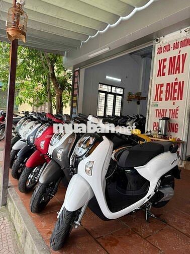 Scoopy nhập indo neww 100%