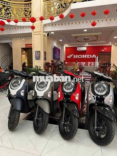 Scoopy nhập indo neww 100%