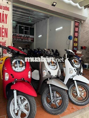 Scoopy nhập indo neww 100%