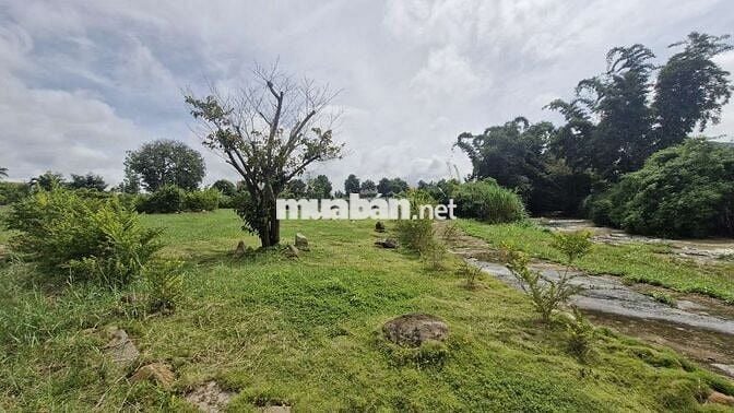 BÁN CĂN NHÀ GỖ VIEW SUỐI TRÊN MẢNH ĐẤT 5000M²