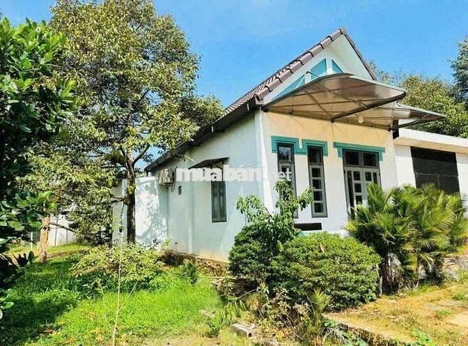 Nhà vườn sầu riêng giá ngộp, sổ sẵn sở hữu liền tay