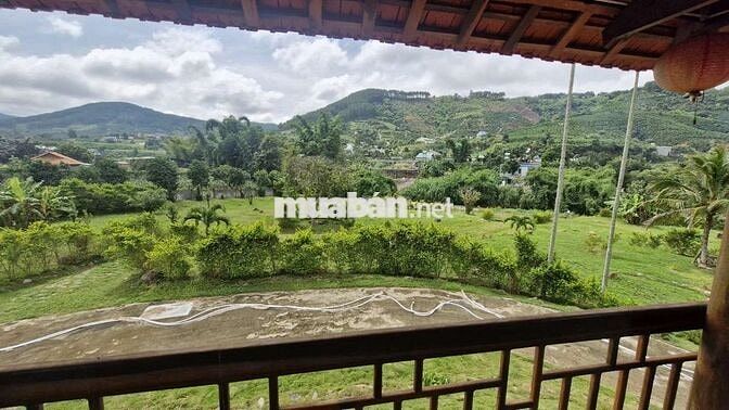 BÁN CĂN NHÀ GỖ VIEW SUỐI TRÊN MẢNH ĐẤT 5000M²