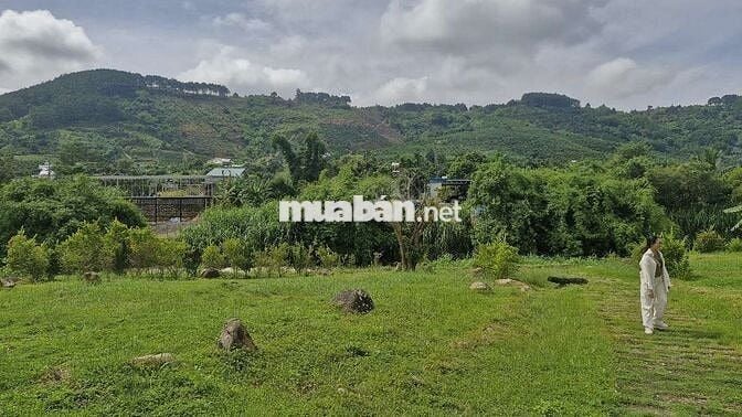 BÁN CĂN NHÀ GỖ VIEW SUỐI TRÊN MẢNH ĐẤT 5000M²