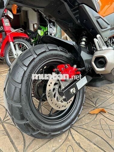HONDA (MSX125) (2019)(THÁI) BS:65B2:CẦN THƠ