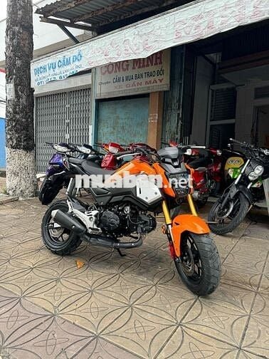 HONDA (MSX125) (2019)(THÁI) BS:65B2:CẦN THƠ