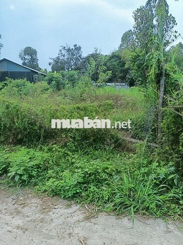 Bán lô đất rẻ tại Phú Sơn Nam - Hòa Khương