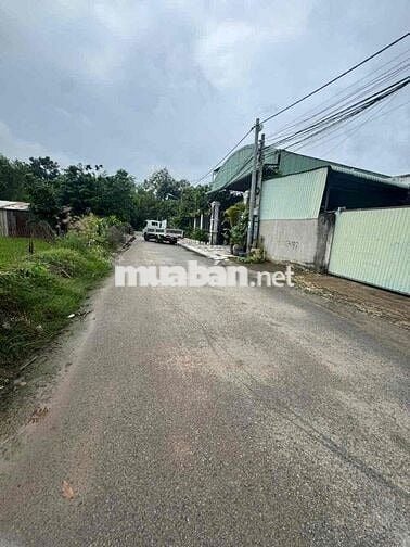 đất mặt tiền đường nhựa giá rẻ cần bán
