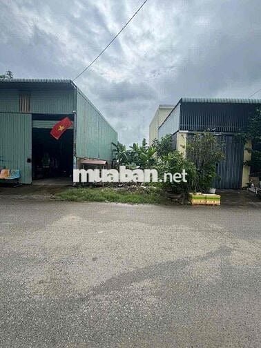 đất mặt tiền đường nhựa giá rẻ cần bán