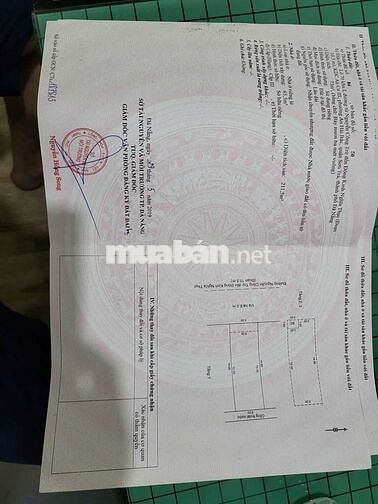 Nhà mặt phố Chính Hữu, An Hải Bắc, Sơn Trà, Đà Nẵng, 29,5 tỷ, 146m2