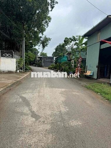 đất mặt tiền đường nhựa giá rẻ cần bán