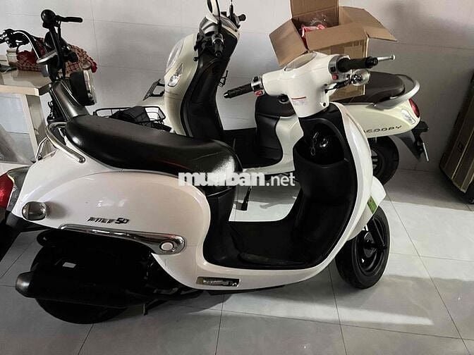 cần bán xe 50