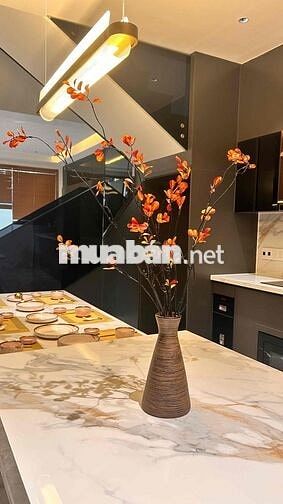 Bán nhà Bùi Công Trừng mới 100%