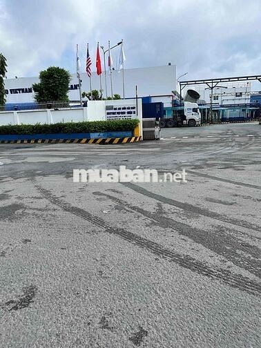 Nhà nguyên căn làm văn phòng, MB kinh doanh