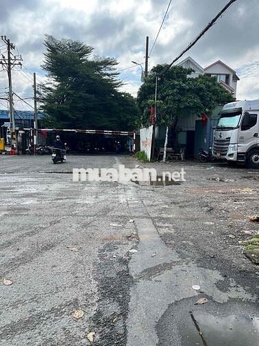 Nhà nguyên căn làm văn phòng, MB kinh doanh