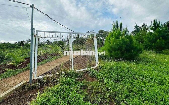 HÒA THẮNG - Bán đất siêu VIP 2 mặt tiền + view ruộng 12ty/3240m2