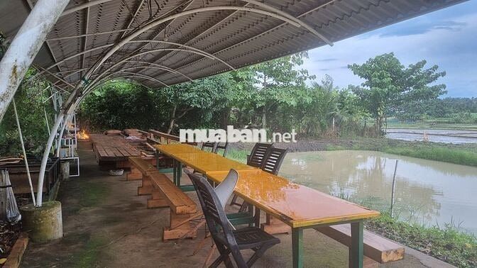 HÒA THẮNG - Bán đất siêu VIP 2 mặt tiền + view ruộng 12ty/3240m2