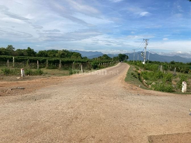CẦN BÁN ĐẤT DIỆN TÍCH LỚN TẠI MỸ SƠN,NINH SƠN,NINH THUẬN (KHÁNH HÒA)C