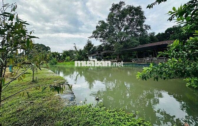 HÒA THẮNG - Bán đất siêu VIP 2 mặt tiền + view ruộng 12ty/3240m2