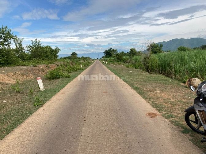 CẦN BÁN ĐẤT DIỆN TÍCH LỚN TẠI MỸ SƠN,NINH SƠN,NINH THUẬN (KHÁNH HÒA)C