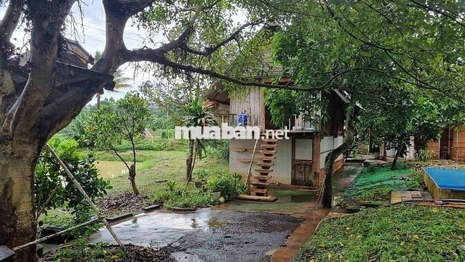 HÒA THẮNG - Bán đất siêu VIP 2 mặt tiền + view ruộng 12ty/3240m2