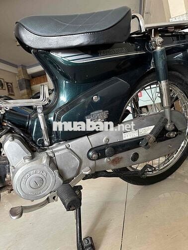 cub 82
