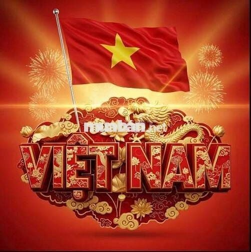Cho thuê nguyên căn khu nhà đồng bộ, 4pn5wc, Đường số 30 p6 Gò vấp