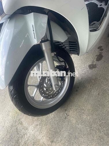 lead cọp bản đặc biệt nhà dùng it đi chuẩn km