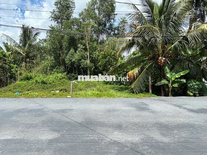 Bán đất mặt tiền huyện lộ 75, xã Cái Bè, Đồng Tháp (Tiền Giang cũ)