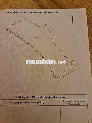 ĐẤT MẶT TIỀN BALANGXI TÂN ĐỊNH LÀM KHO XƯỞNG 62x209 DH 602