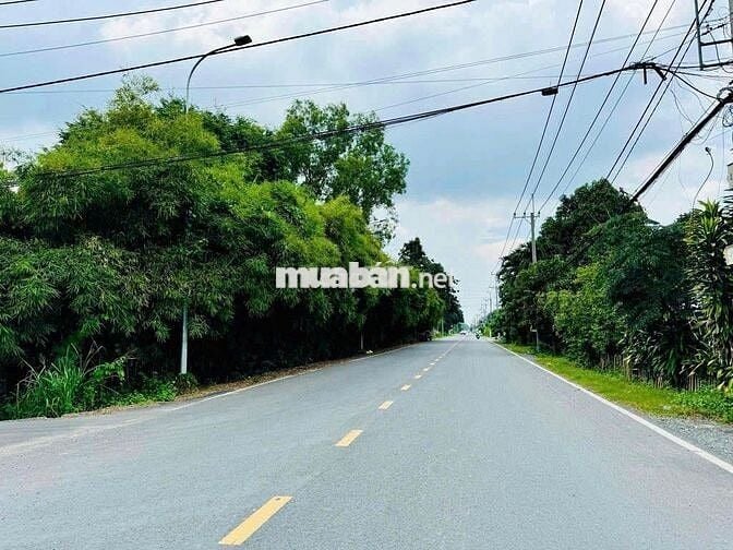 Mặt tiền đường Cây Da, Củ Chi bán gấp lô đất 210m2 Có sổ sẵn giá 500Tr