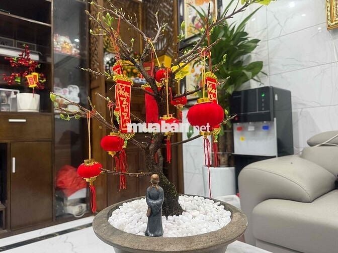 BÁN ĐẤT tặng nhà cấp 4 vị trí đẹp trung tâm ngay gần bãi đỗ oto