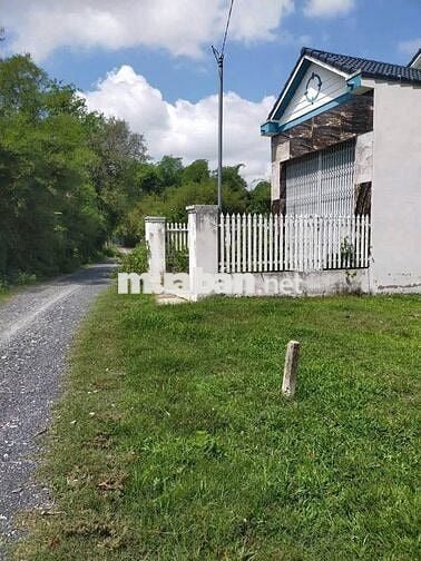 🔥CHÚ 2 BÁN NHANH 600TR❗ LÔ 147M² ĐẤT ĐẸP Ở THÁI MỸ CỦ CHI🔥
