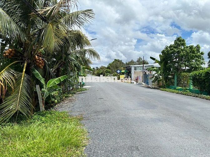 Bán đất mặt tiền huyện lộ 75, xã Cái Bè, Đồng Tháp (Tiền Giang cũ)