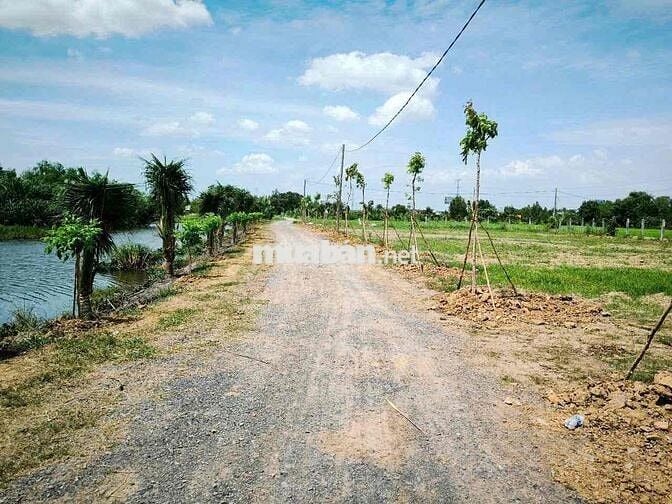 Đất Đẹp Mỹ Yên – Tân Bửu, Bến Lức – Gần Trung Tâm, Dân Cư Đông