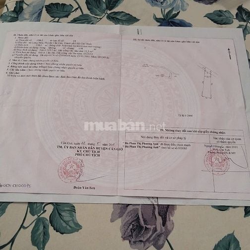 Bán gấp đất nở hậu Cần Giờ 138m2