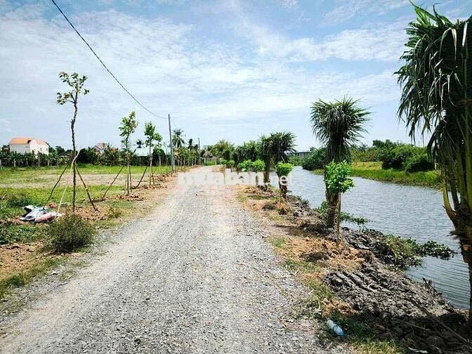 Đất Đẹp Mỹ Yên – Tân Bửu, Bến Lức – Gần Trung Tâm, Dân Cư Đông