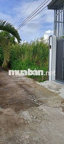 Đất sổ đỏ 109m2 cách mặt tiền đường 200m tại huyện Cần Giuộc, Long An