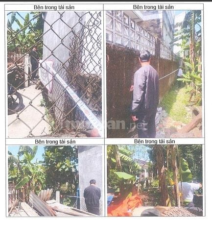 Công ty đấu giá hợp danh Sao Việt 