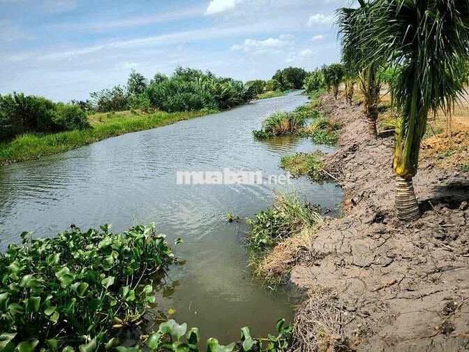 Đất Đẹp Mỹ Yên – Tân Bửu, Bến Lức – Gần Trung Tâm, Dân Cư Đông