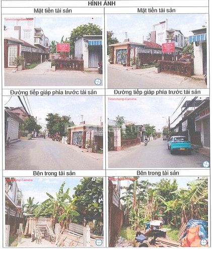 Công ty đấu giá hợp danh Sao Việt 
