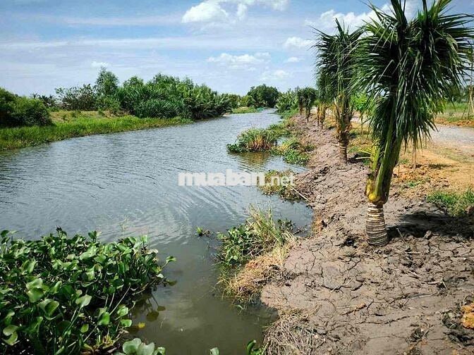 Đất Đẹp Mỹ Yên – Tân Bửu, Bến Lức – Gần Trung Tâm, Dân Cư Đông