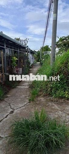 Đất sổ đỏ 109m2 cách mặt tiền đường 200m tại huyện Cần Giuộc, Long An