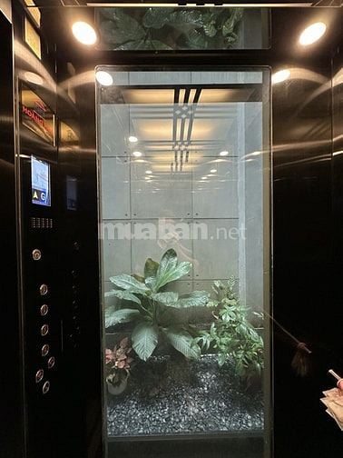Nhà mặt tiền Đồng Đen,, 104m2, bán gấp giảm 2 tỷ
