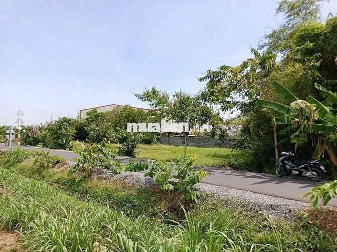 MT Lê Thị Vui chẵn 200m2 em cần bán GẤP giá chỉ 600Tr còn thương lượng