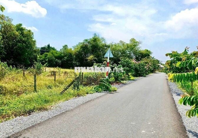 MT Lê Thị Vui chẵn 200m2 em cần bán GẤP giá chỉ 600Tr còn thương lượng